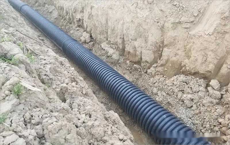 pic-2